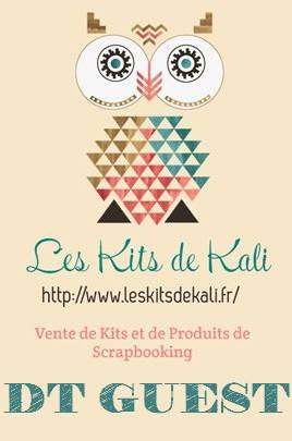 DT Les Kits de Kali