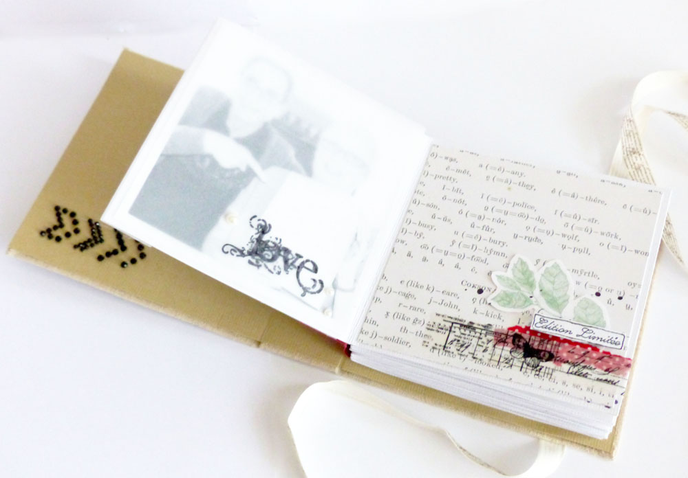 MINI_ cabinet curiosités-Steff(5)