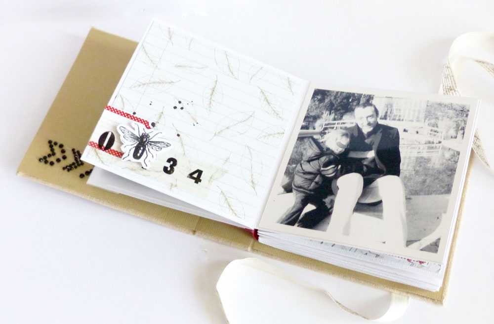 MINI_ cabinet curiosités-Steff(7)