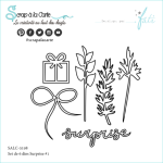 SALC-5198-Surprise-1-small