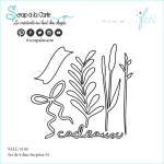 SALC-5199-Surprise-2-small